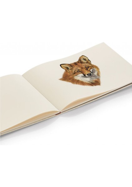 Sketchpad Resim Defteri A4 180GR. 40 Yaprak