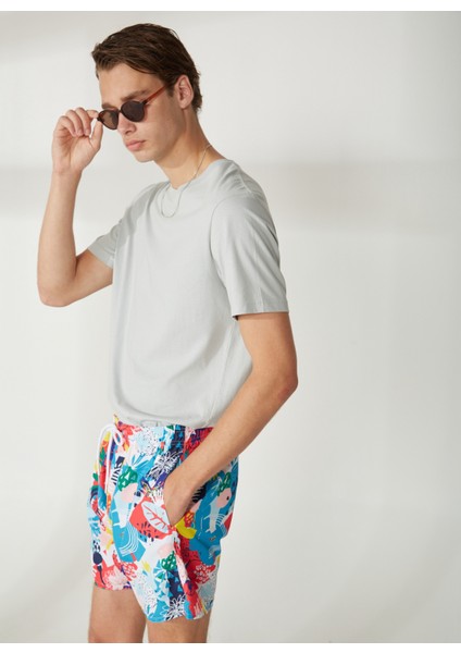 Çok Renkli Erkek Şort Mayo 10424