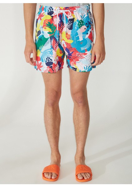 Çok Renkli Erkek Şort Mayo 10424 modelleri