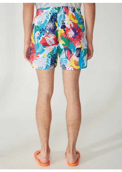 Çok Renkli Erkek Şort Mayo 10424 indirimleri