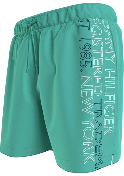 Yeşil Erkek Şort Mayo UM0UM02742L47 fiyatları