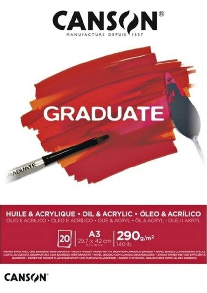 Graduate Huile Acrylique Defter A3 290GR 20 Yaprak