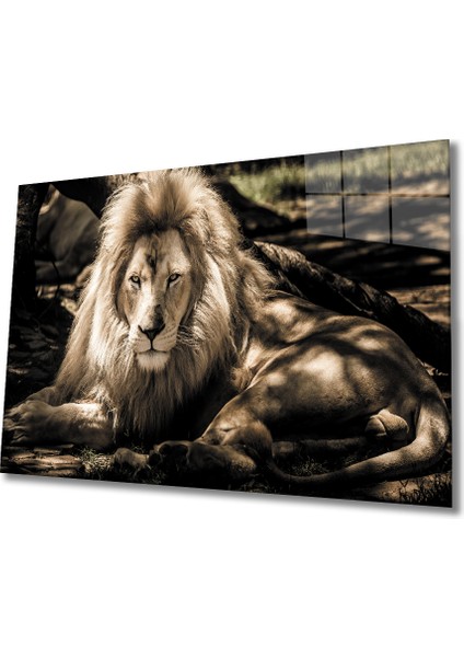 Eliza Home Aslan Cam Tablo