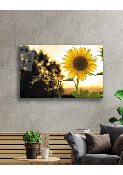 Eliza Home Ayçiçeği Cam Tablo fiyatları