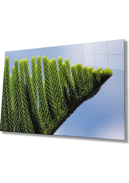 Yeşil Bitki Cam Tablo Green Plant
