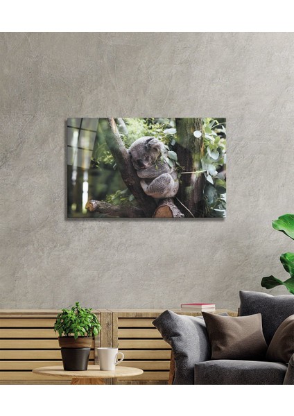 Eliza Home Koala Cam Tablo fiyatları