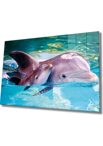 Eliza Home Yunus Balığı Cam Tablo Dolphin