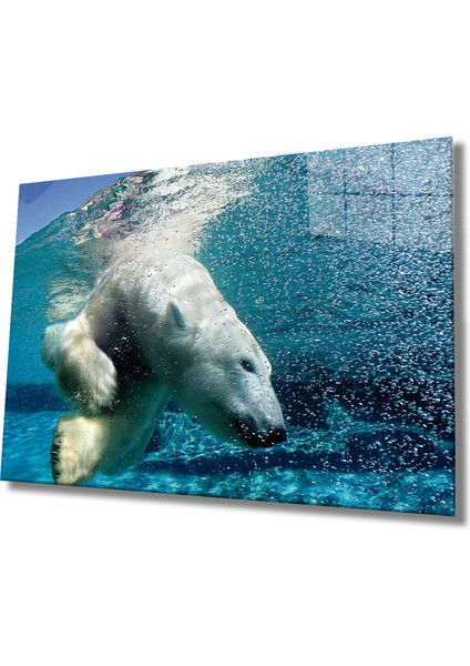 Eliza Home Beyaz Ayı Cam Tablo White Bear In Sea