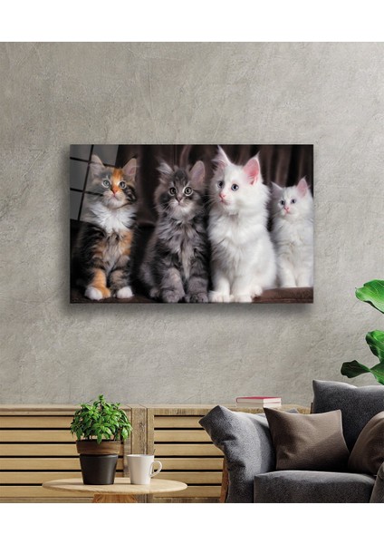 Eliza Home Kediler Cam Tablo fiyatları