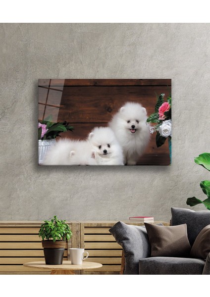 Eliza Home Köpekler Cam Tablo fiyatları