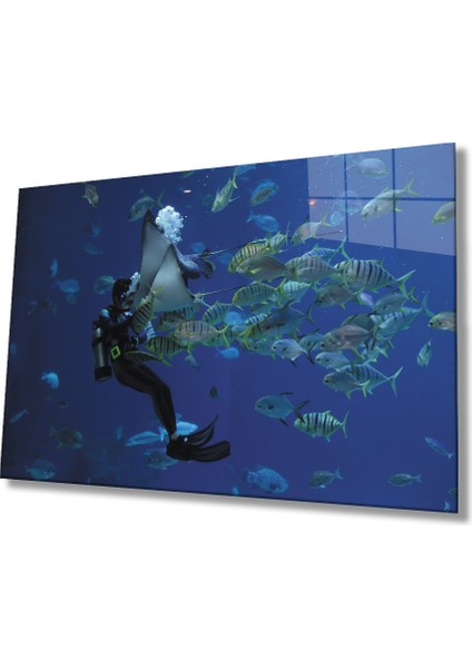 Eliza Home Dalgıç Balık Sualtı Diver Fish Underwater