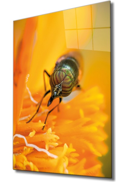 Eliza Home Sarı Arı Cam Tablo Yellow Bee
