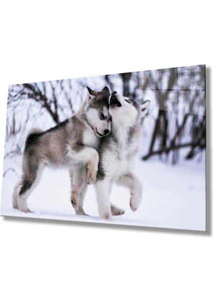 Eliza Home Kurt Köpeği Cam Tablo