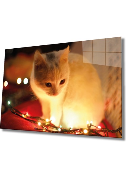 Eliza Home Beyaz Kedi ve Sarı Işık Cam Tablo Yellow Cat And Lights