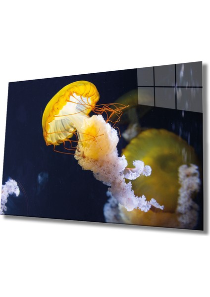 Eliza Home Sarı Denizanası Cam Tablo Yellow Jellyfish