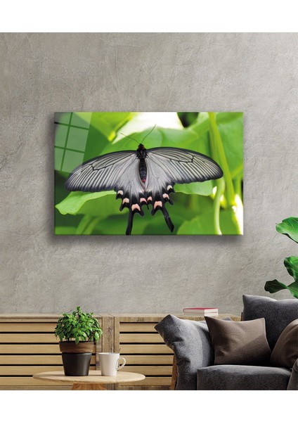 Eliza Home Yeşil Yaprak Siyah Kelebek Hayvan Cam Tablo
