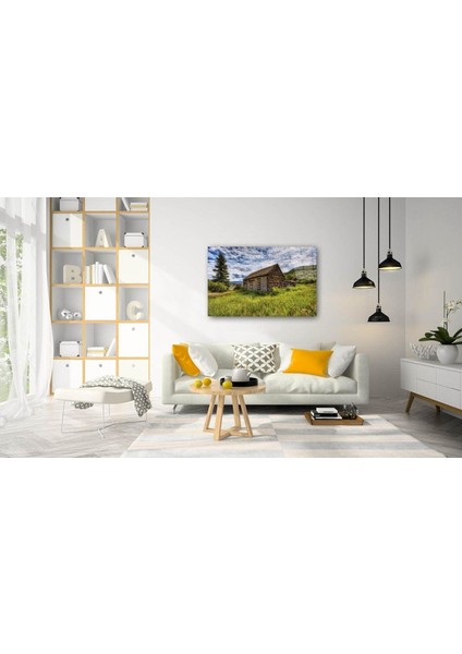 Eliza Home Doğa Cam Tablo fiyatları