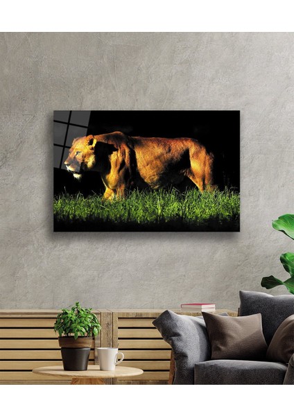 Eliza Home Aslan Cam Tablo fiyatları