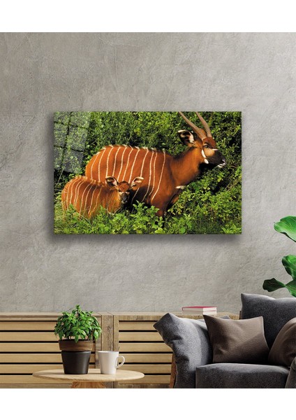 Eliza Home Bongo Hayvan Cam Tablo