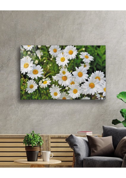 Eliza Home Papatya Çiçek Cam Tablo Daisy Flower fiyatları