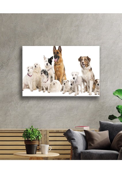 Eliza Home Köpekler Cam Tablo fiyatları