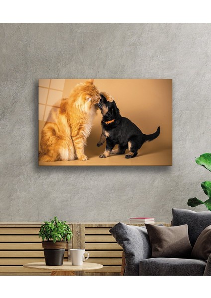 Kedi Köpek Cam Tablo fiyatları