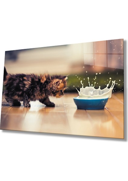 Eliza Home Kedi Cam Tablo