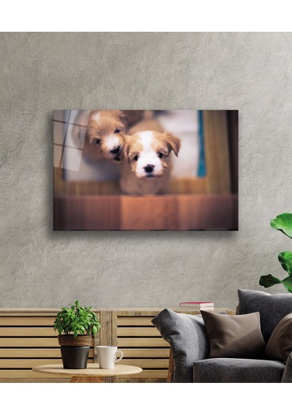 Eliza Home Köpekler Cam Tablo fiyatları