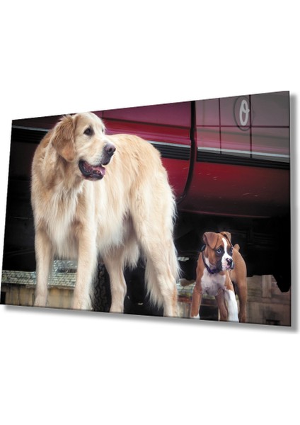 Eliza Home Köpek Cam Tablo