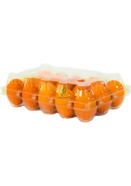 15'li Plastik Kapaklı Yumurta Viyolü 1200 Adet