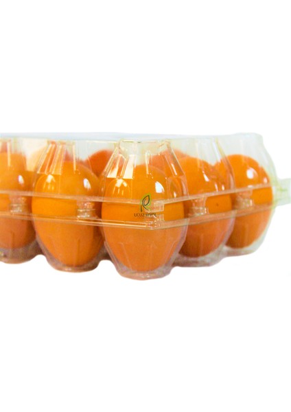 15'li Plastik Kapaklı Yumurta Viyolü 1200 Adet modelleri