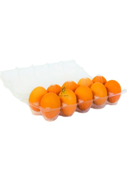 10'lu Plastik Yumurta Viyolü 500 Adet Izpack