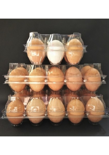 30'lu Karton Yumurta Viyolü 700 Adet fırsatları