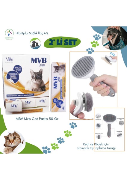 Mvb Cat Pasta 50 gr + Kedi ve Köpek Otomatik Tüy Toplama Tarağı 2 Li Set