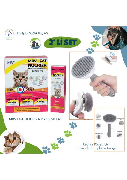 Nocrıza Cat Pasta 50 gr + Kedi ve Köpek Otomatik Tüy Toplama Tarağı 2 Li Set