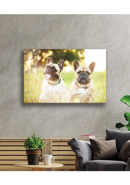 Eliza Home Köpekler Cam Tablo fiyatları