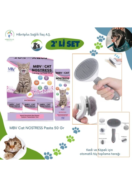 Mbv Nostress Cat Pasta 50 gr + Kedi ve Köpek Otomatik Tüy Toplama Tarağı 2 Li Set