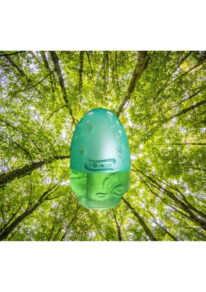 Muthiş Koku Süper Kaliteli Küre Kavanoz Ferah Orman Kokusu 100 ml