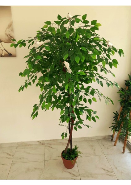 Yapay Benjamin Ağacı 6 Adet Beyaz Kuşlu 1.70 mt Boy Ficus Benjamia Doku Doğal Görünüm