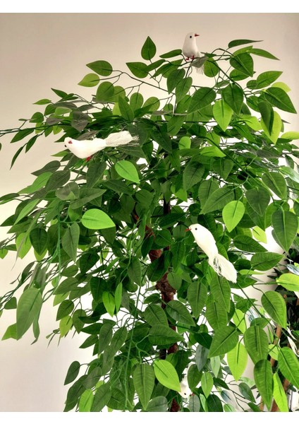 Yapay Benjamin Ağacı 6 Adet Beyaz Kuşlu 1.70 mt Boy Ficus Benjamia Doku Doğal Görünüm