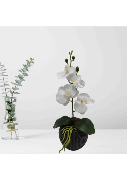 Islak Beyaz Mini Orkide Hediyelik Yapay Çiçek