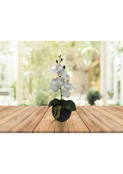 Islak Beyaz Mini Orkide Hediyelik Yapay Çiçek fiyatları