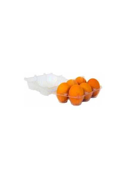 6 Lı Plastik Kapaklı Yumurta Viyolü 300 Adet