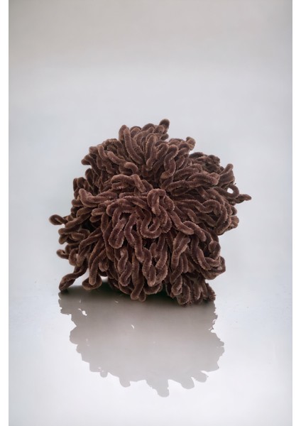 Kadın Kahverengi Topuz Toka