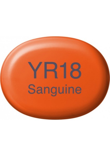 Sketch Marker Kalemi YR18