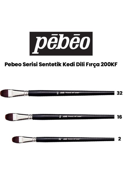 200KF Seri Sentetik Kedi Dili Fırça Seti