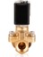220V AC Buhar Normalde Açık Solenoid Valf (0,5-6 BAR) 2