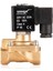 220V AC Buhar Normalde Açık Solenoid Valf (0,5-6 BAR) 3