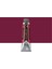 Rembrandt Yağlı Boya 40ML Permanent Red Violet 567 S.3 1