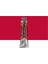 Rembrandt Yağlı Boya 40ML Permanent Red Purple 348 S.3 1